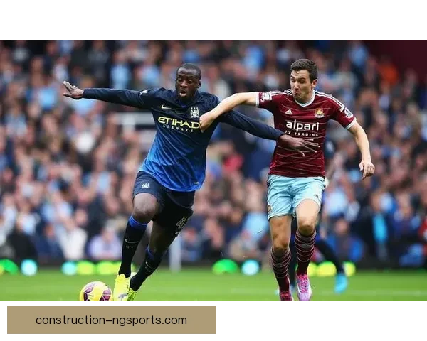 谢菲尔德联队新赛季引援与保级前景深度解析全面观察与战略布局