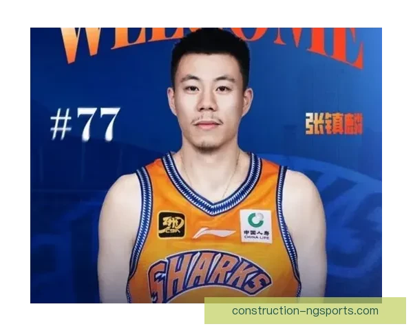 张镇麟在辽宁队持球进攻比重提升引发战术调整探讨
